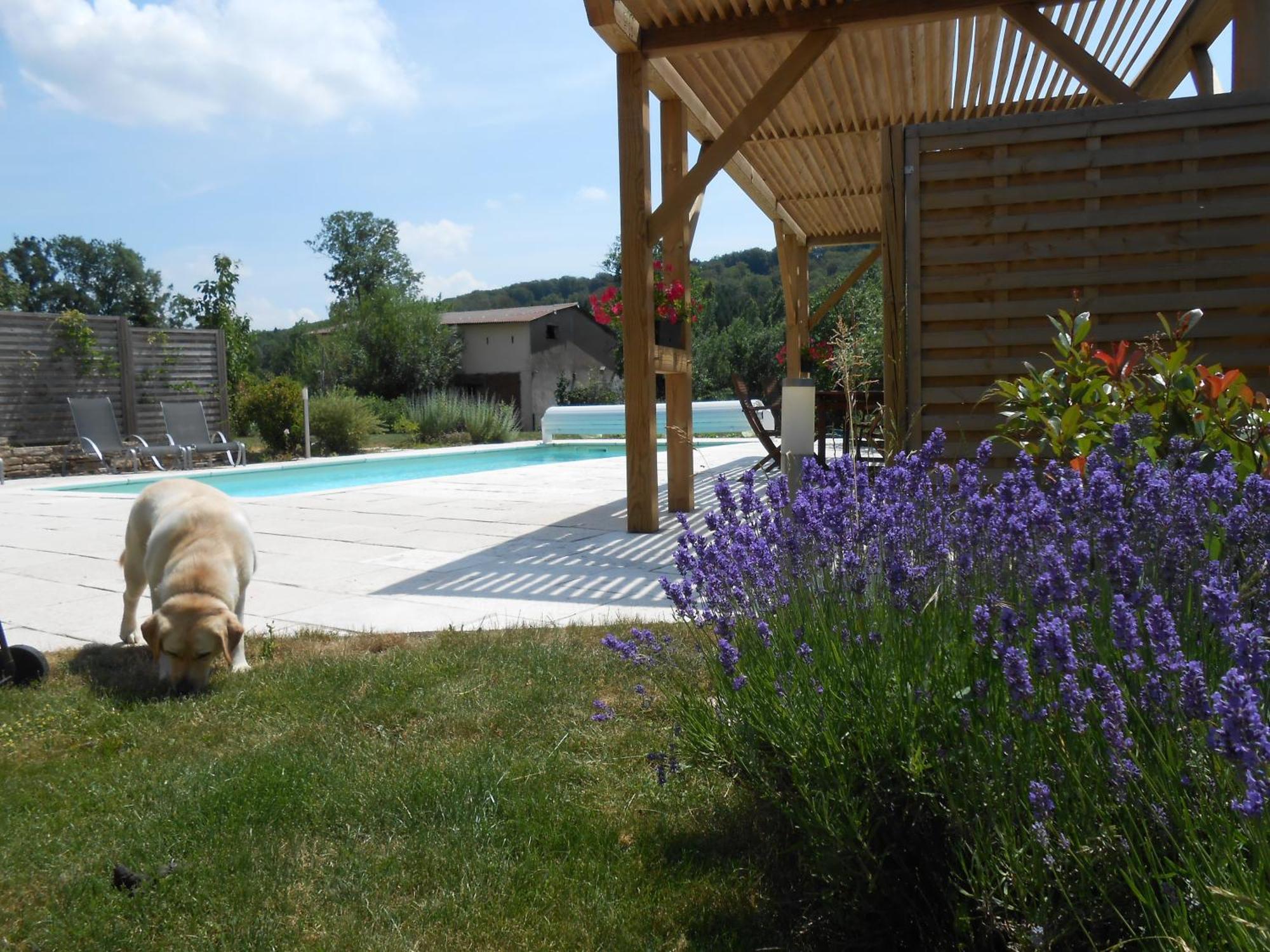 Bed and Breakfast Les Grands Prés à Geney Extérieur photo